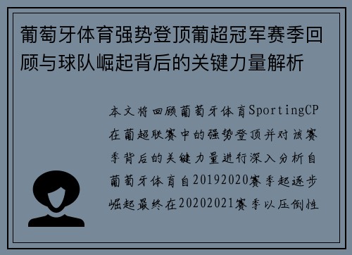葡萄牙体育强势登顶葡超冠军赛季回顾与球队崛起背后的关键力量解析