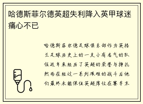 哈德斯菲尔德英超失利降入英甲球迷痛心不已